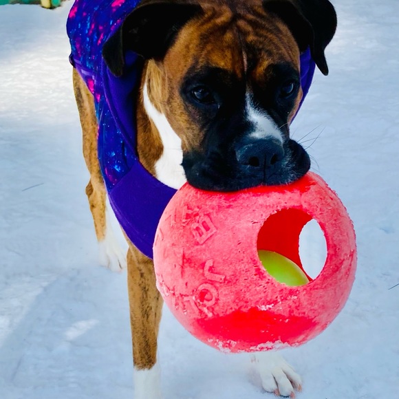 Meet your Posher, Ash Verville! - Picture 11 of 16